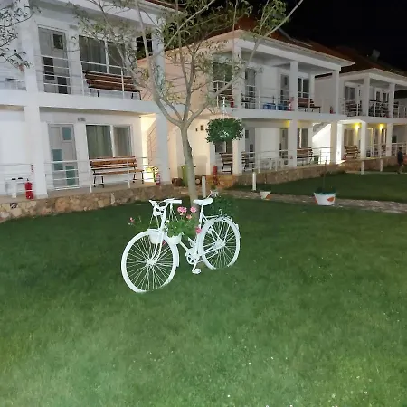 Проживание в семье Vilele Bianca