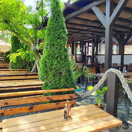 Vilele Bianca Проживание в семье