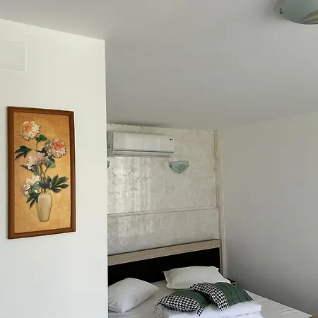 Vilele Bianca Проживание в семье