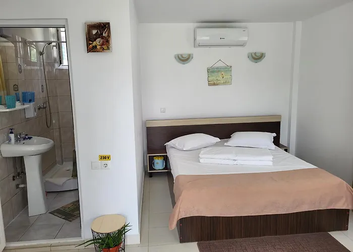 民宿 Vilele Bianca 多亚马伊