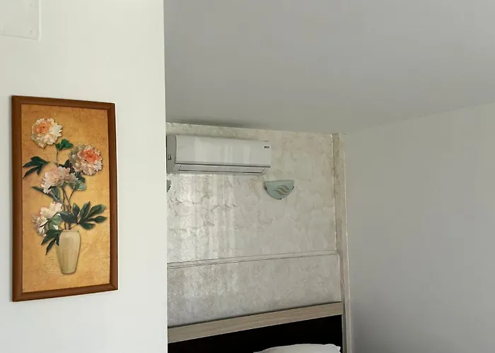 Vilele Bianca 民宿