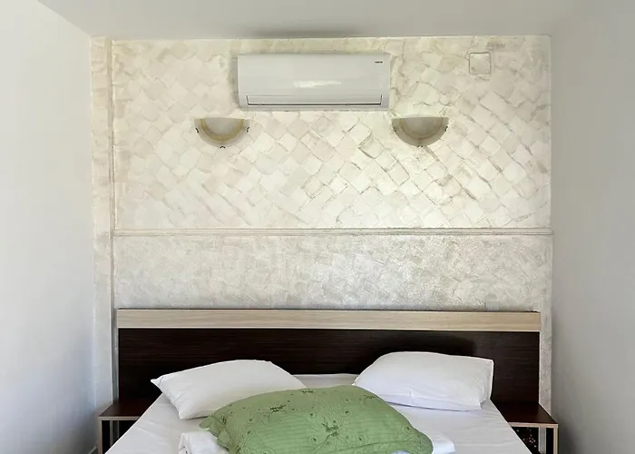 Vilele Bianca 民宿 *